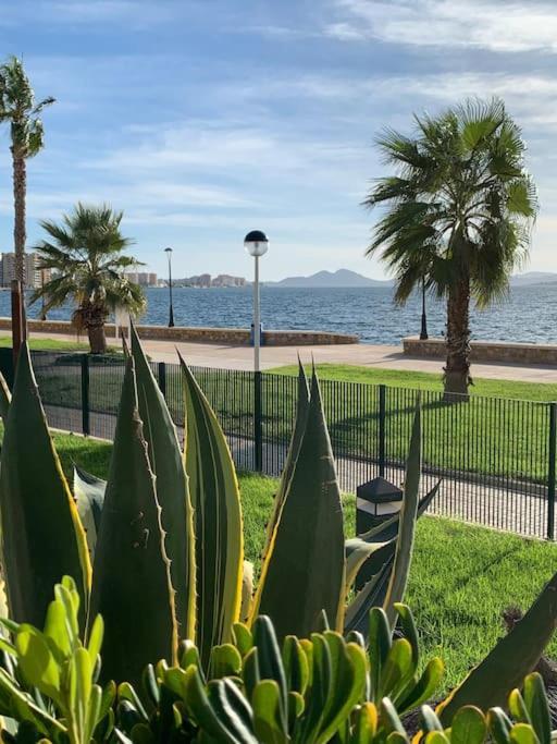 לה מנגה דל מר מנור Apartment Jardines Del Mar, 30380 מראה חיצוני תמונה
